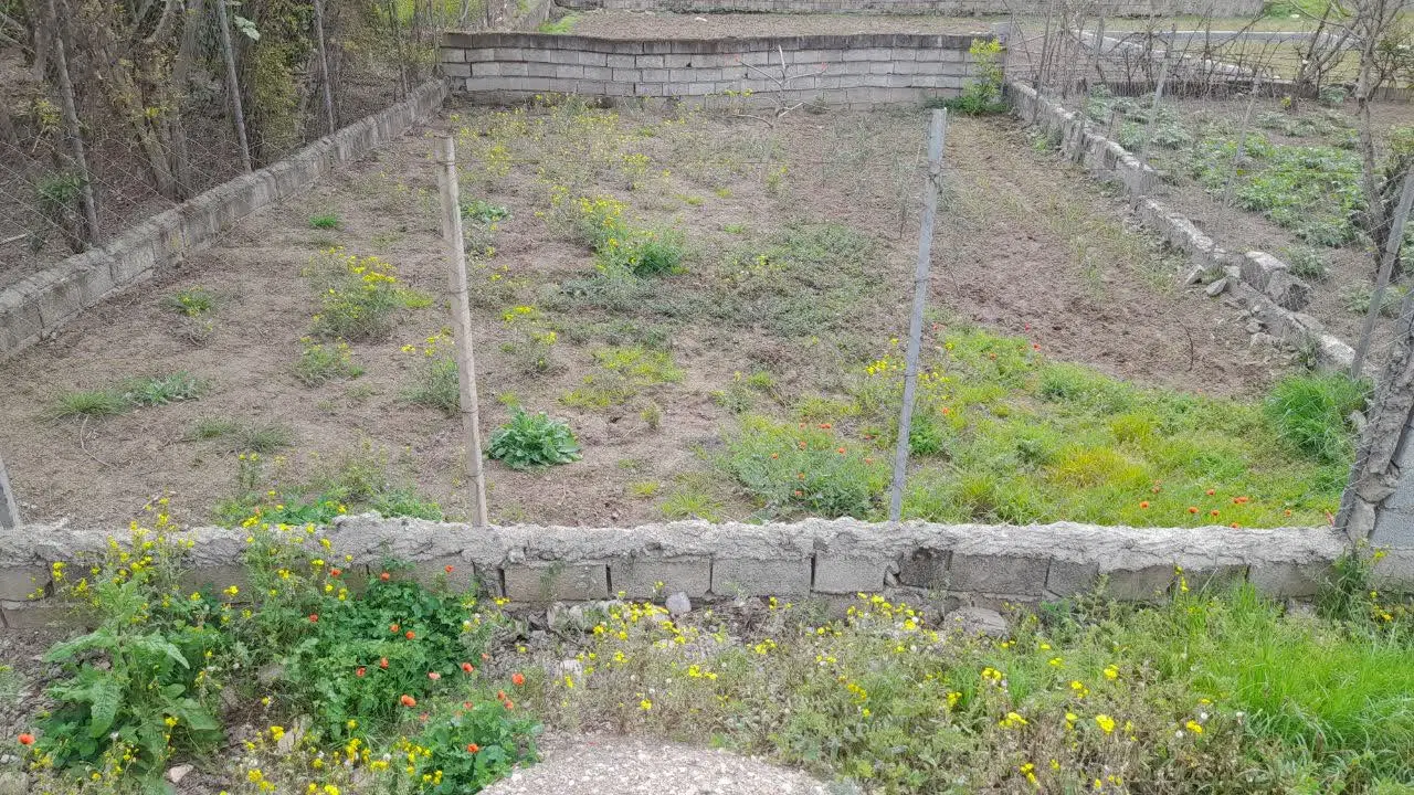 زمین مسکونی در اهی دشت