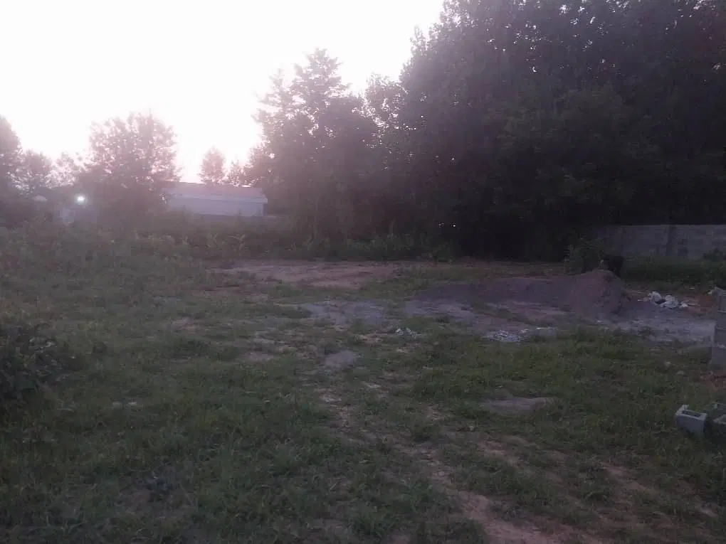 زمین مسکونی در روستای دلیوندان
