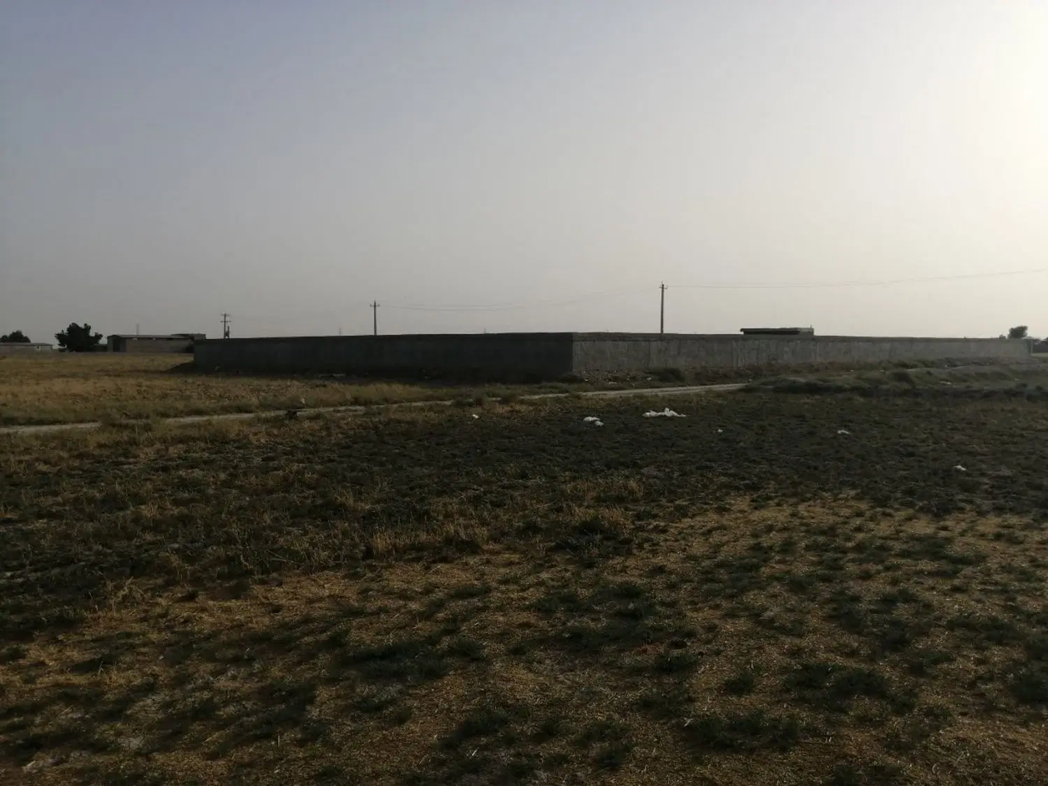 دامداری