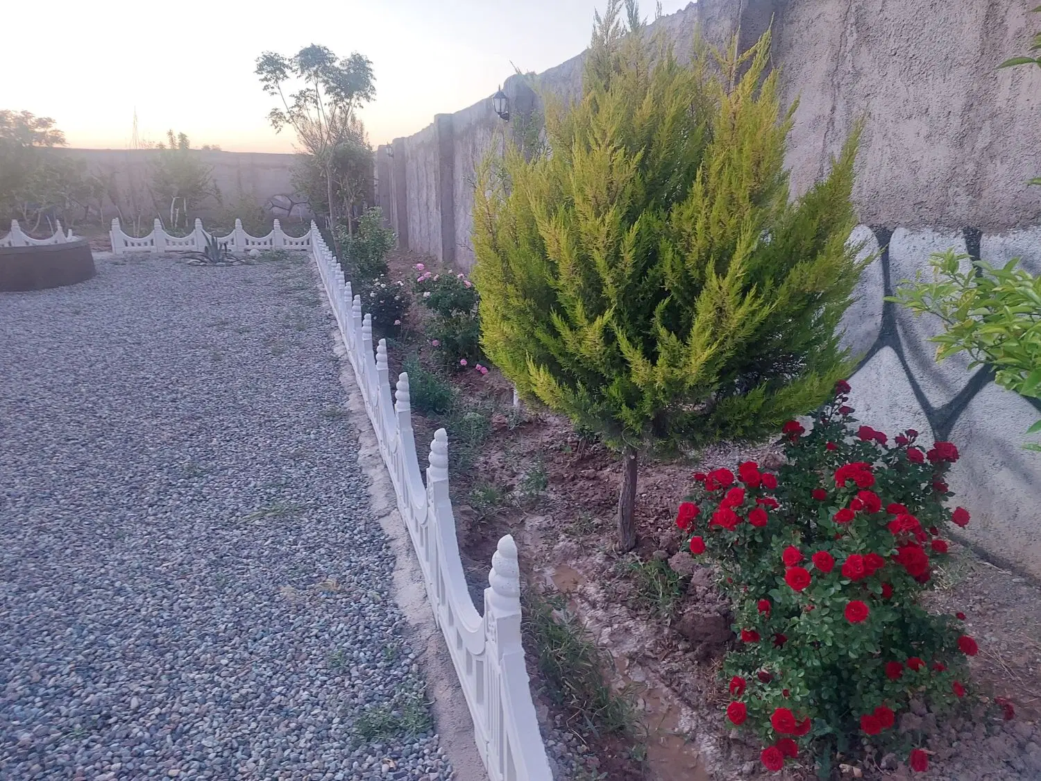 باغچه دیواری ۵۰۰ متری
