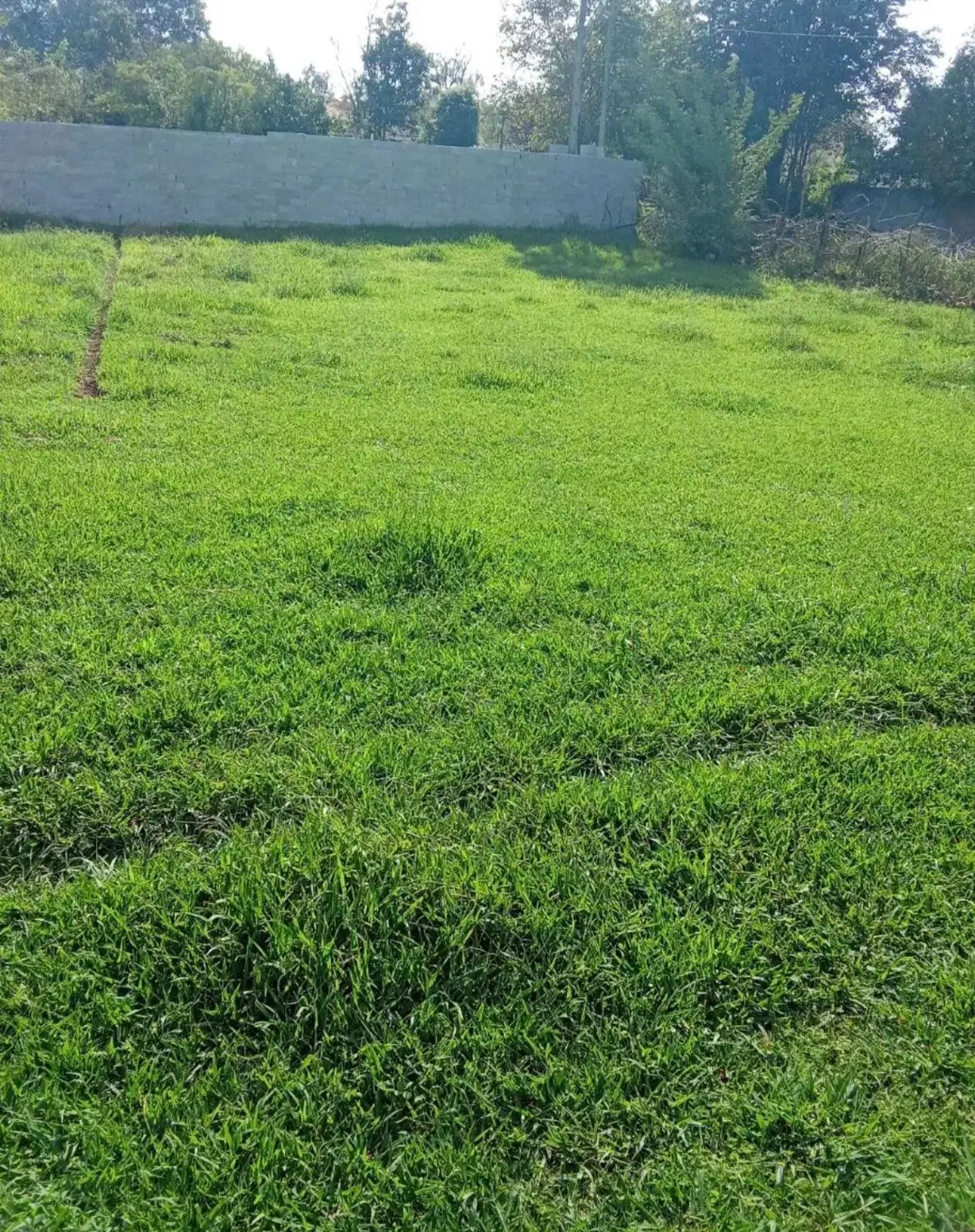 زمین ۳۰۳ متری در سه سار