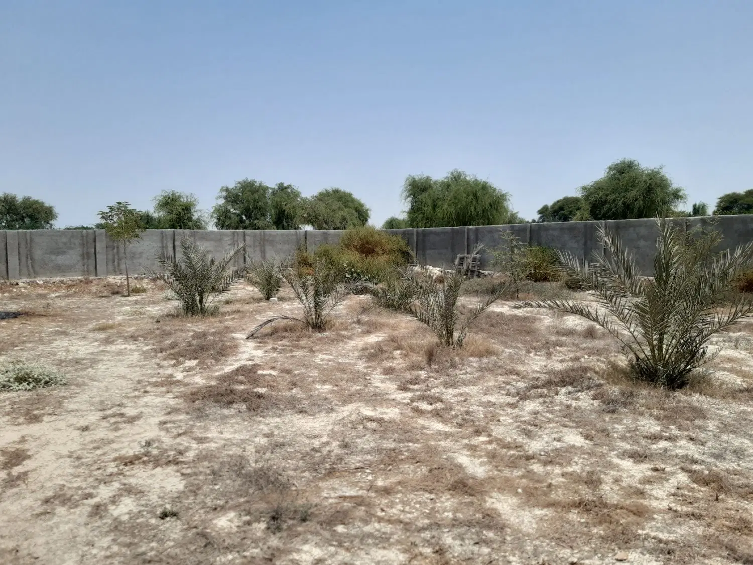 خانه باغ ۱۰۰۰متری