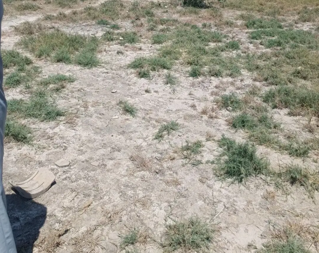 فروش زمین سر جاده‌ای اصلی ربیحات