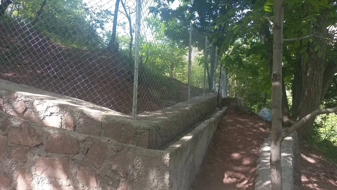 باغ امامه