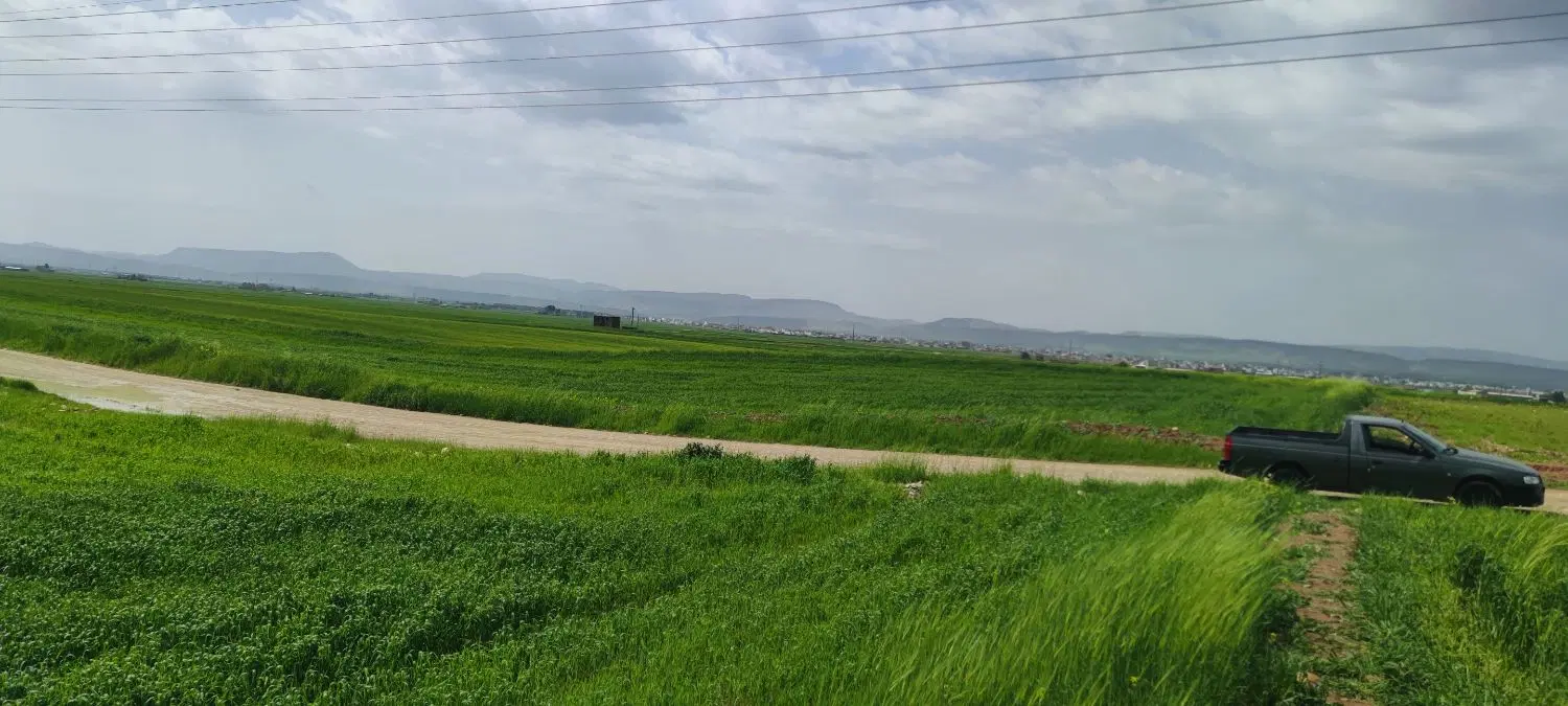 اجاره زمین کشاورزی