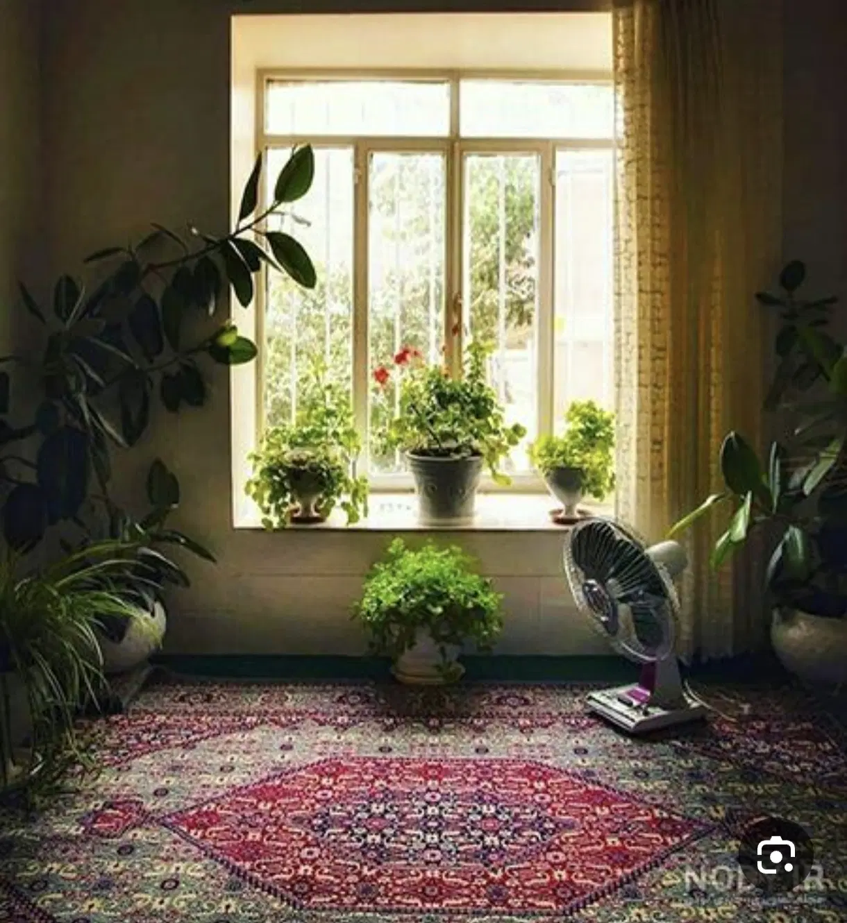 ملک تجاری