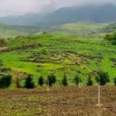 واحد فروش در چشمه خانی