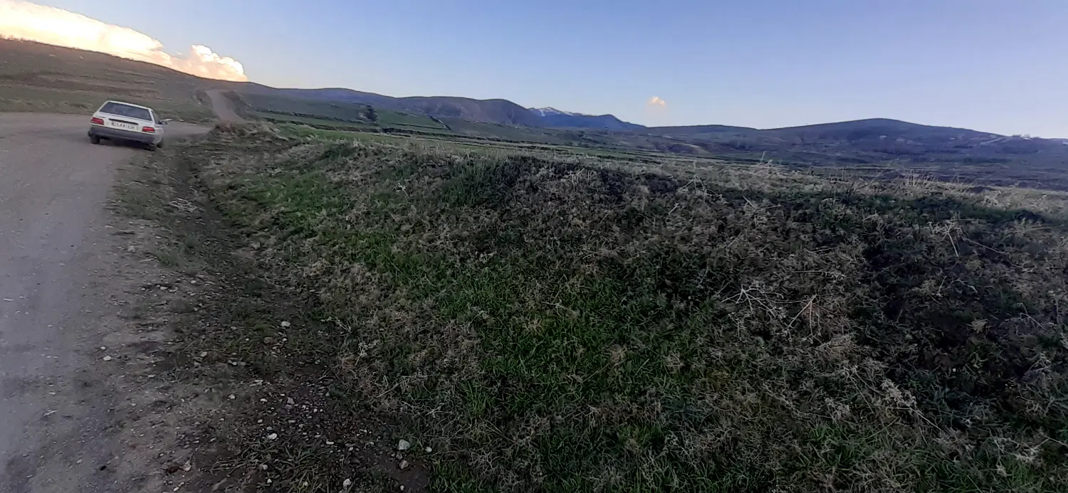 زمین باغی