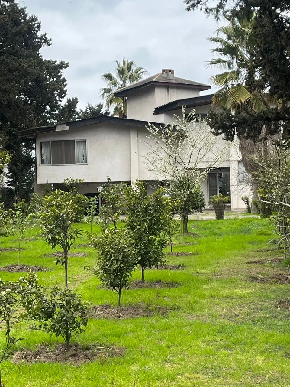 کردان کوهسار شنده