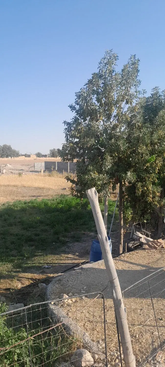 فروش زمین