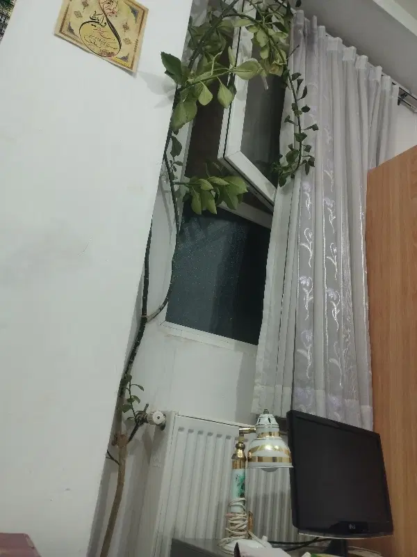 اجاره آپارتمان هزاره نهم طلاب