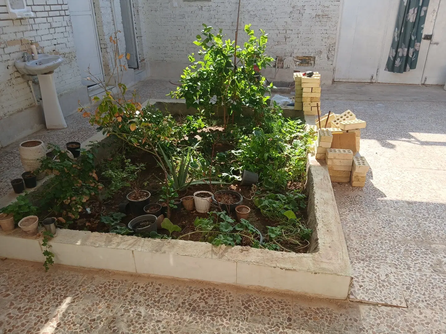 ۳ غربی