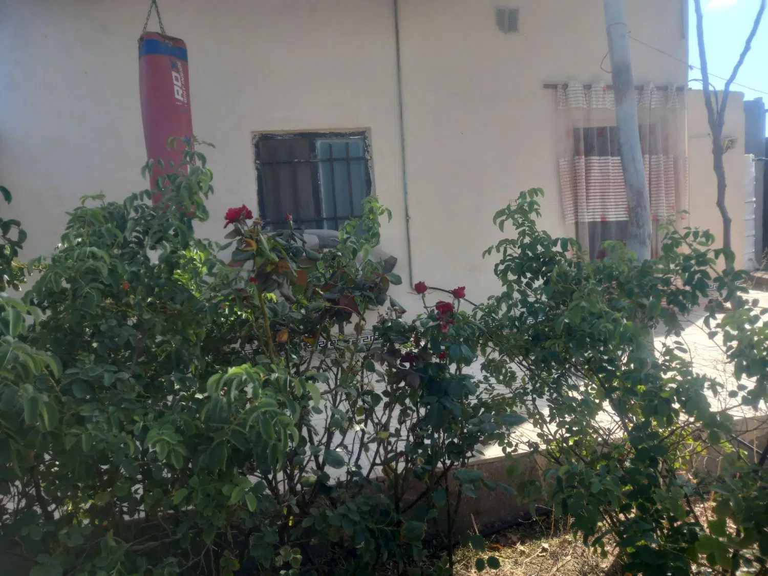 خانه اجاره ای