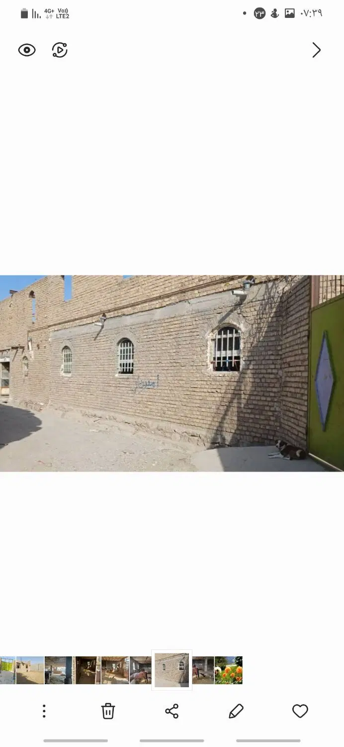 اجاره دامداری