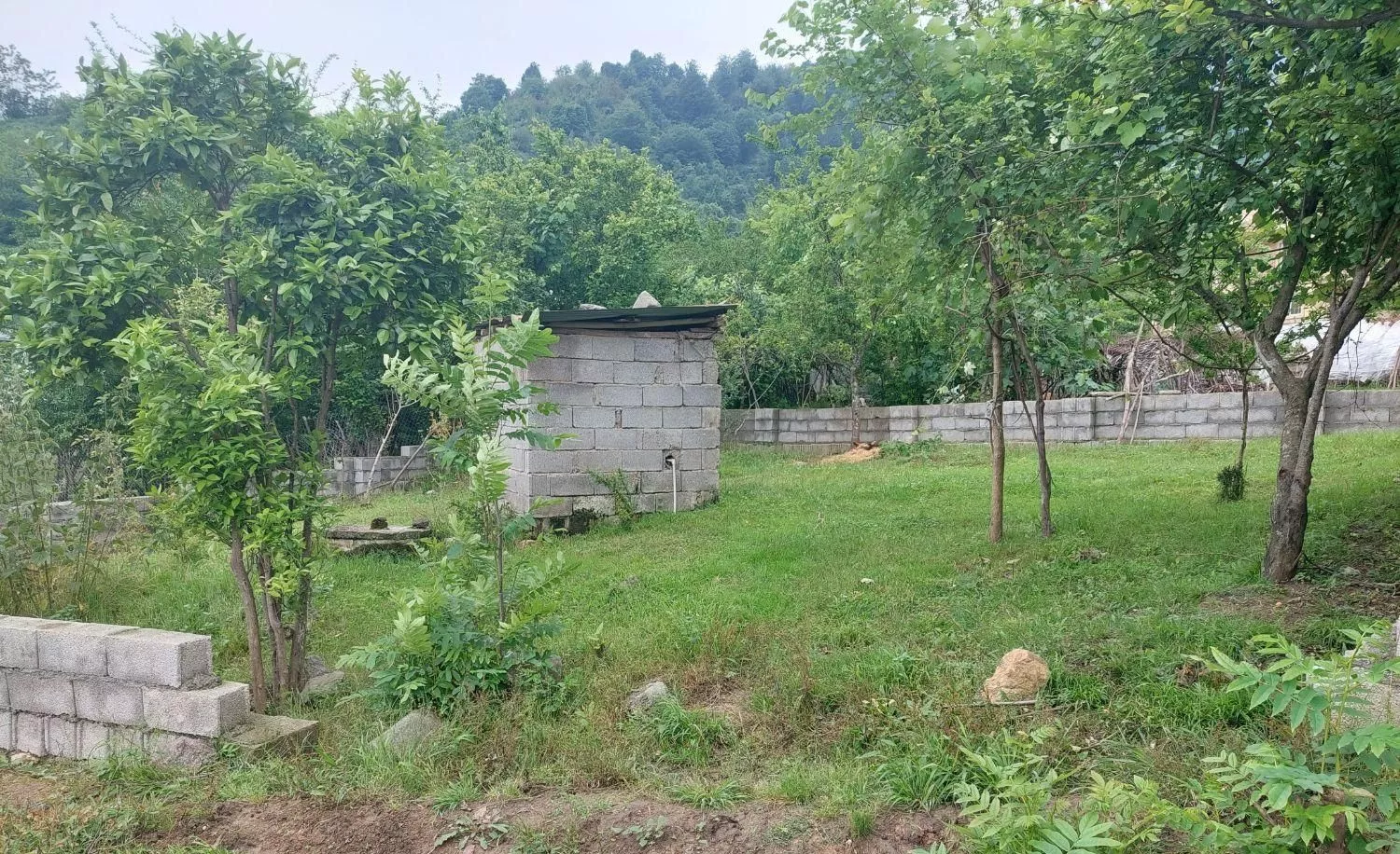زمین مسکونی ویودار