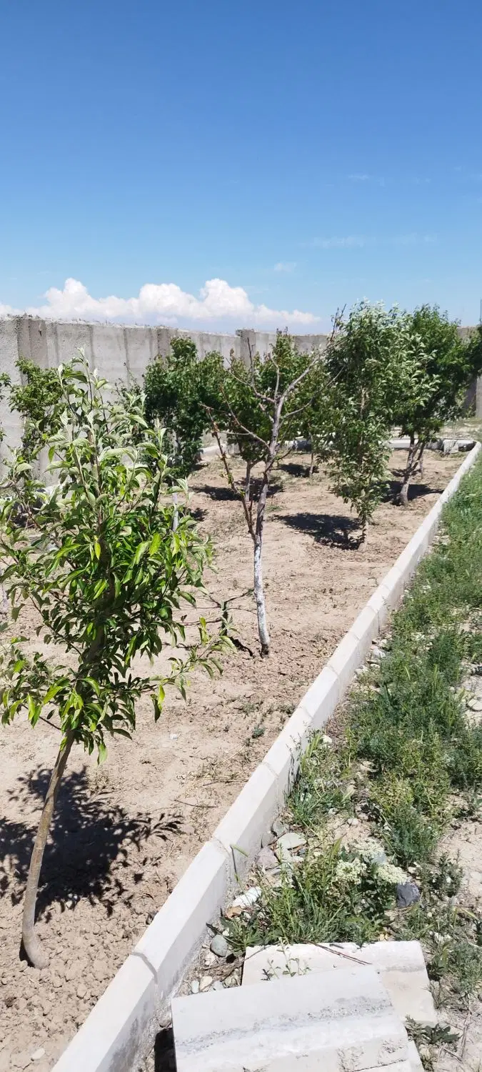باغچه 450 متری