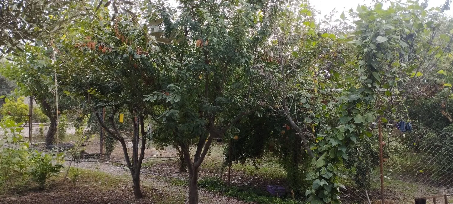 خانه باغ آرامش