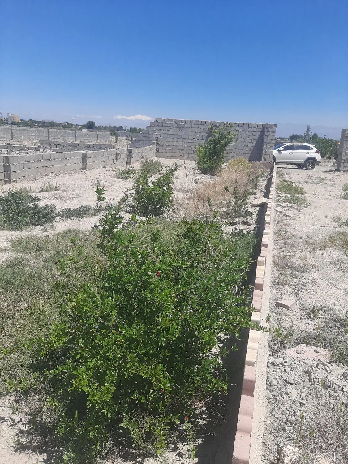 ۷۶۶متر باغچه ۴دیواری