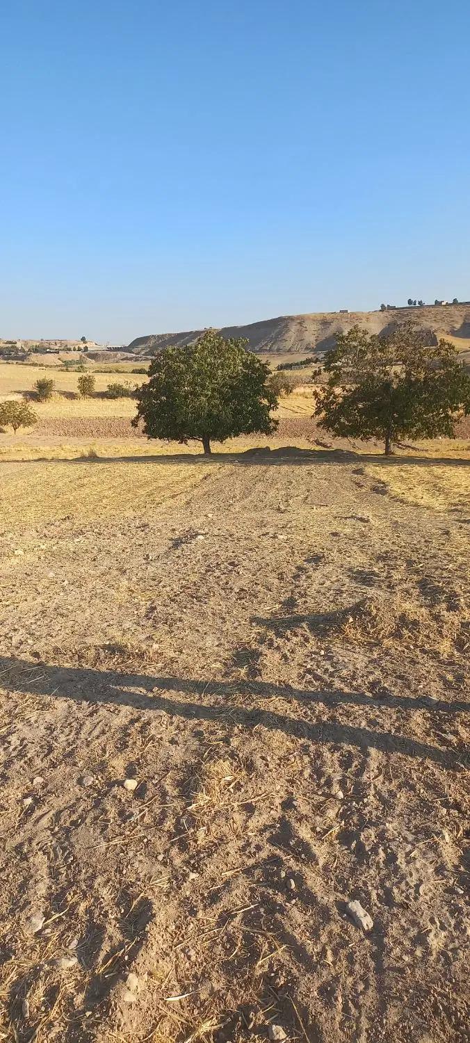 زمین جهت خانه باغ سه راهی شهرک قدس