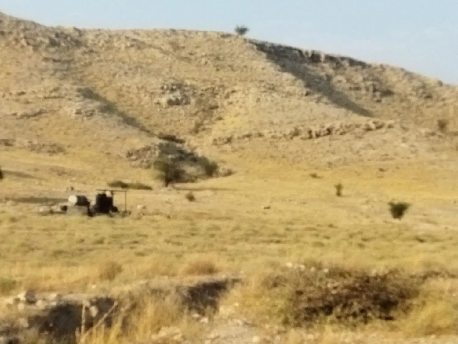 فروش زمین