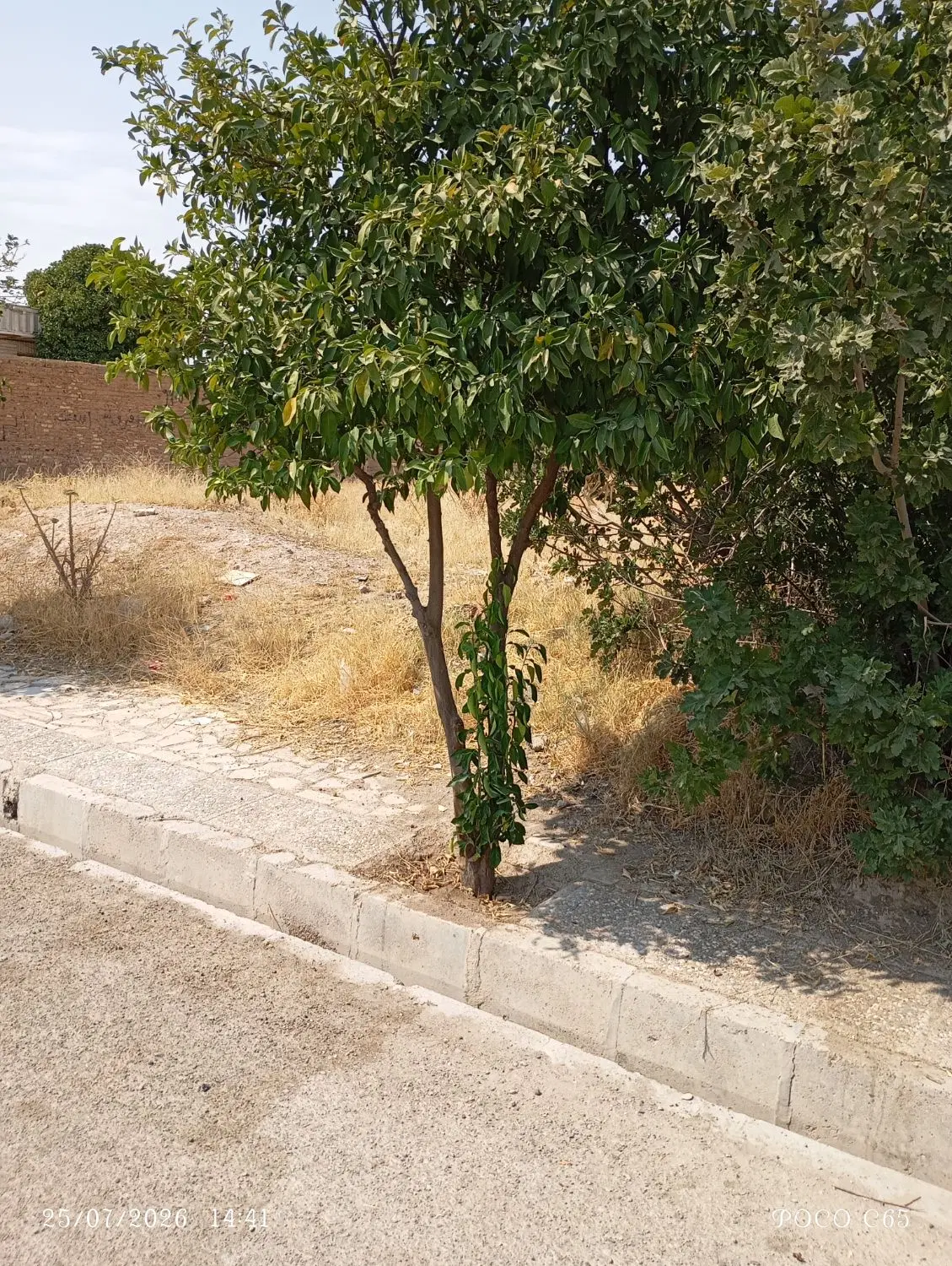 زمین مسکونی تجاری برروی خیابان اصلی