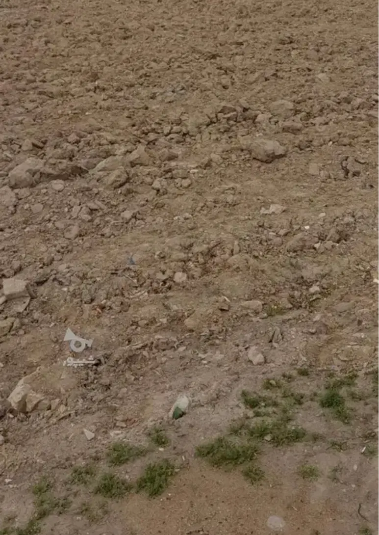 زمین