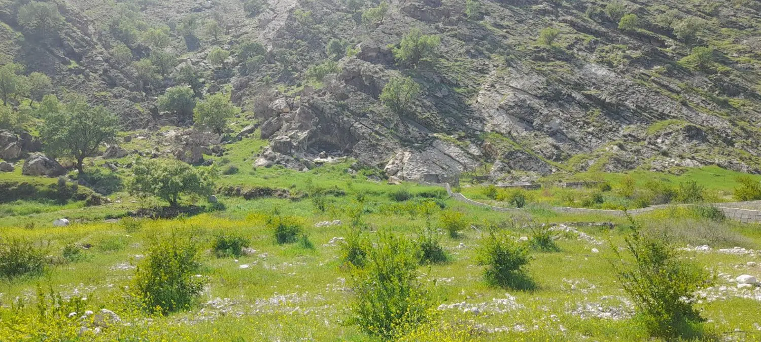 فرش زمین کشاورزی