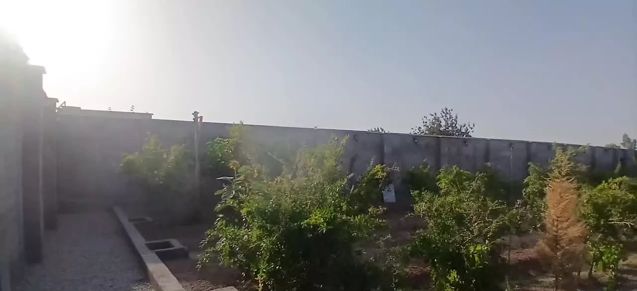 زمین ۴دیواری آوینی (کوچه فتح)
