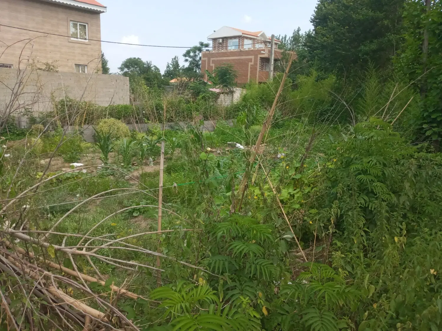 فروش زمین به مساحت ۲۳۵ متر