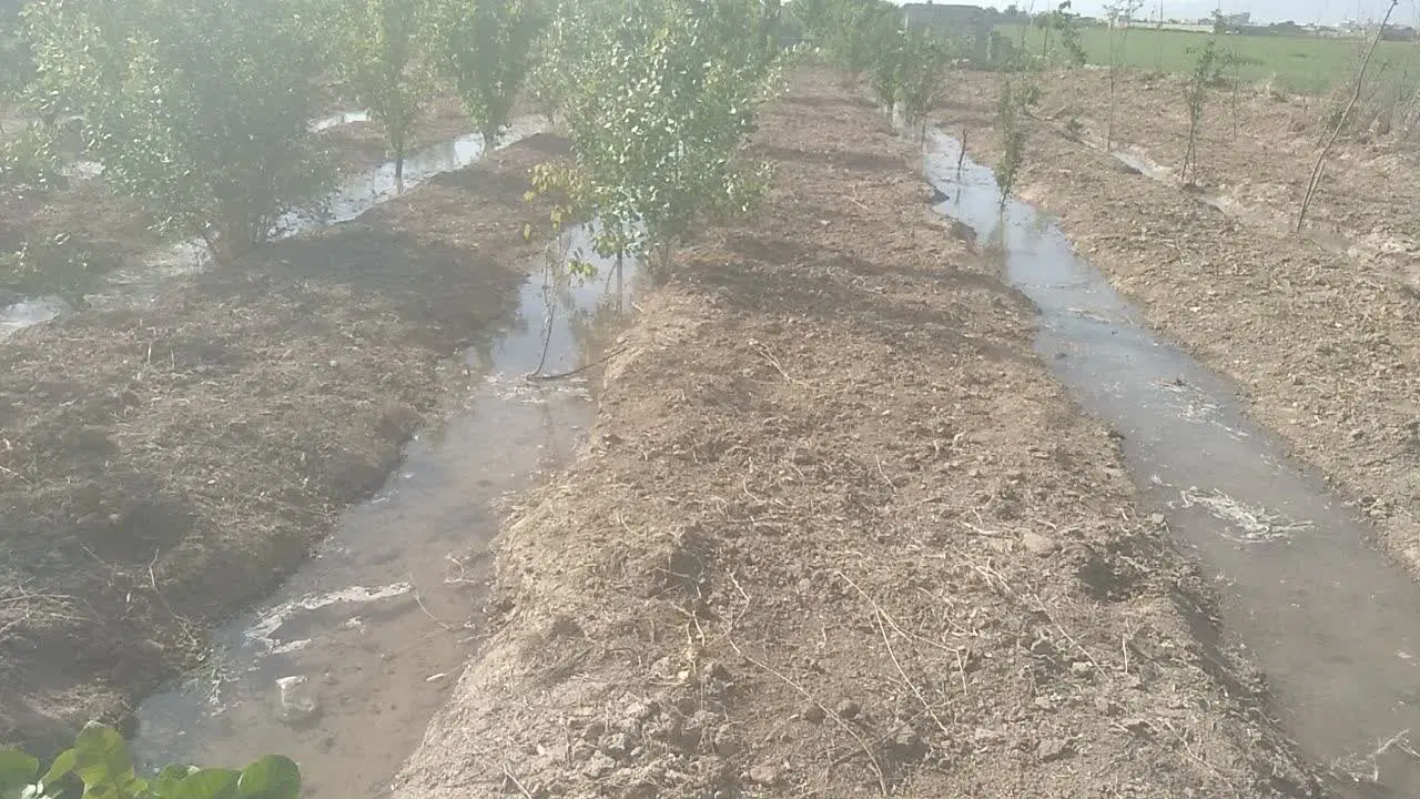 فروش باغ نزدیک پارک جنگلی ریه صالحیه بهارستان