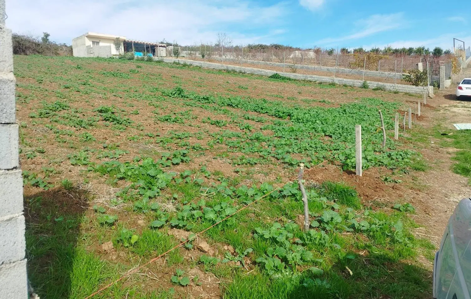 فروش زمین زراعی در مازندران