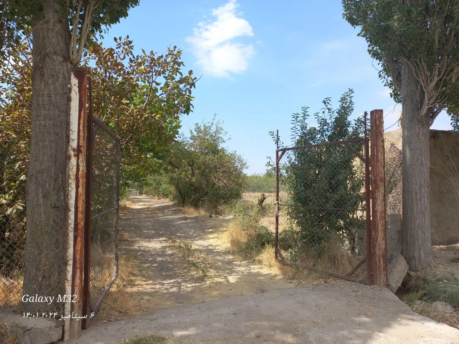زمین زراعی کاظم اباد