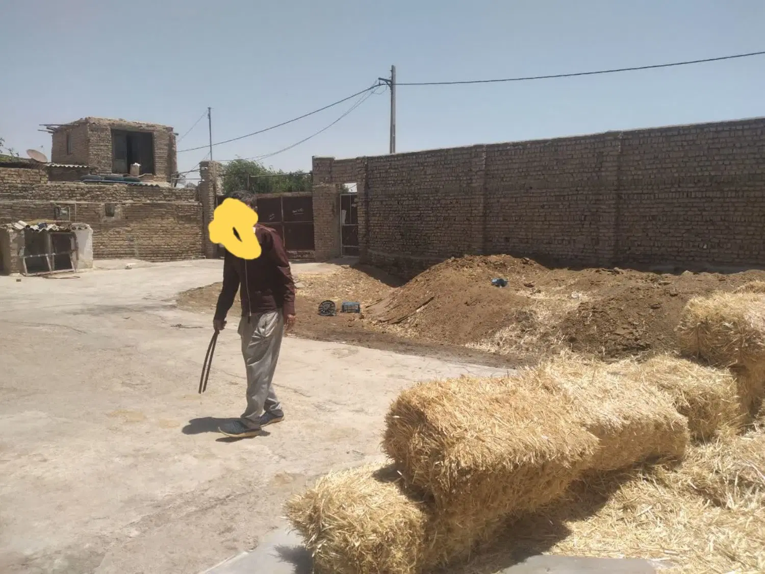 گاوداری ورامین