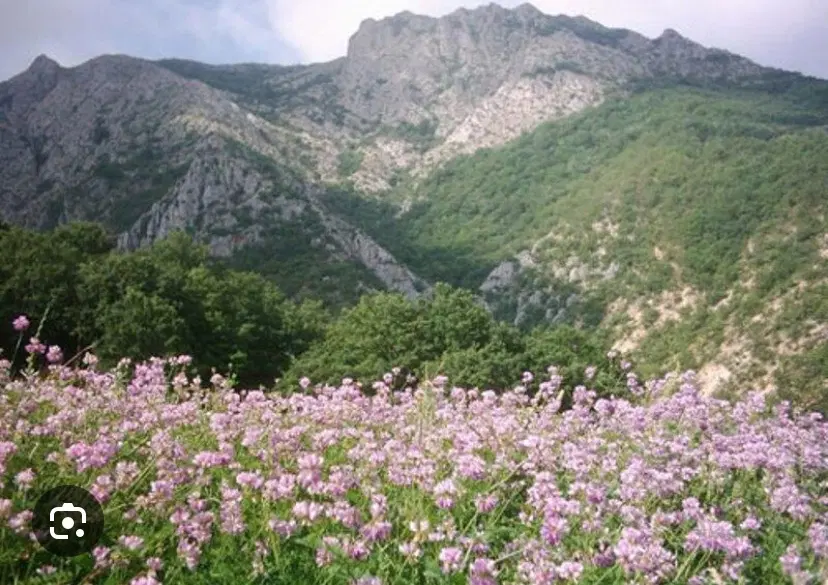 خانه ویلایی محمداباد مسکون (جبالبارز)