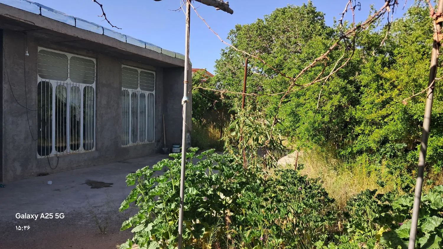 خانه باغ دولت اباد هماشهر روخیابان اصلی