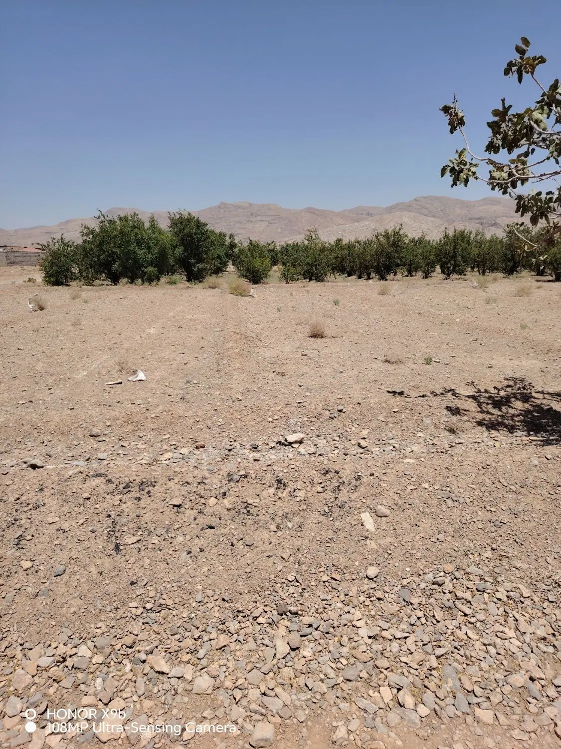 زمین باغی 200متری