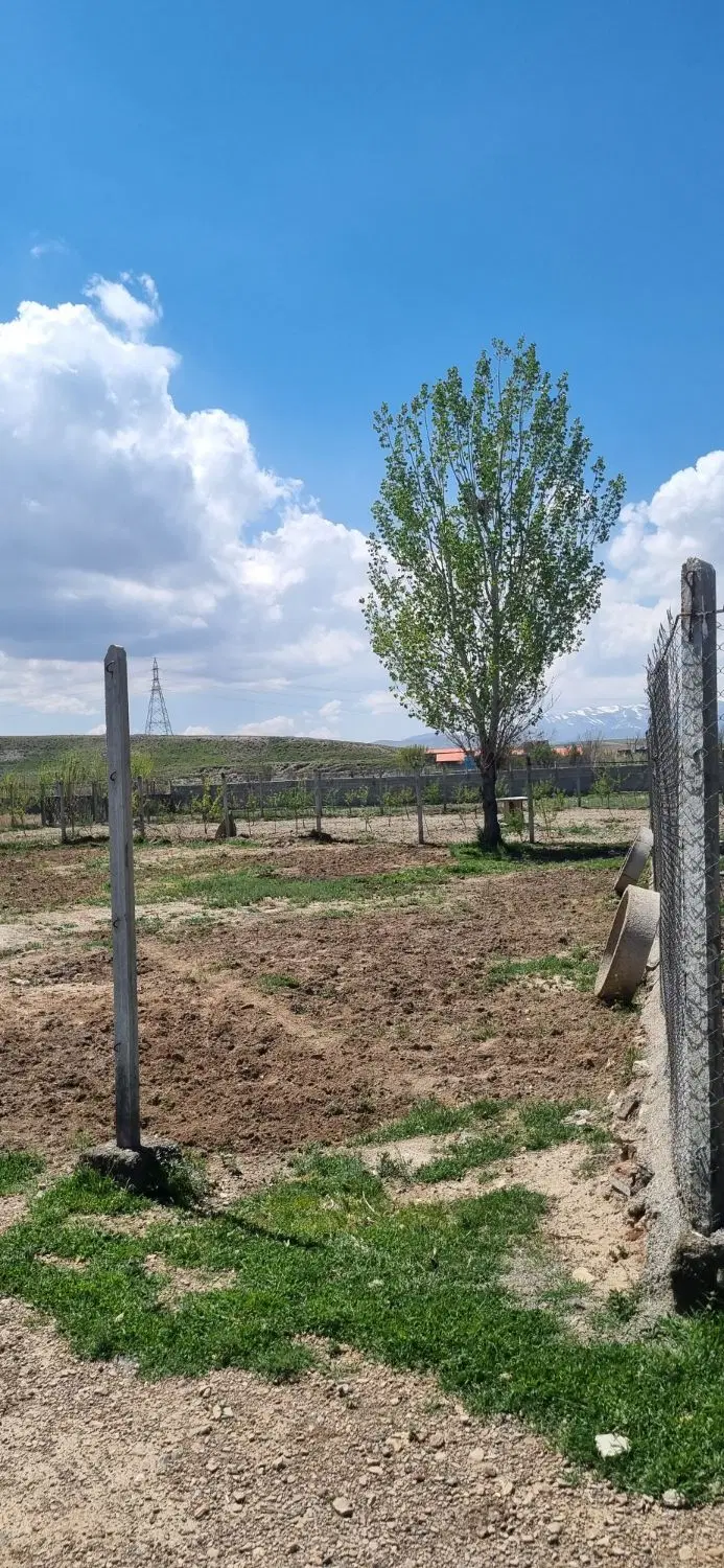 زمین باغی