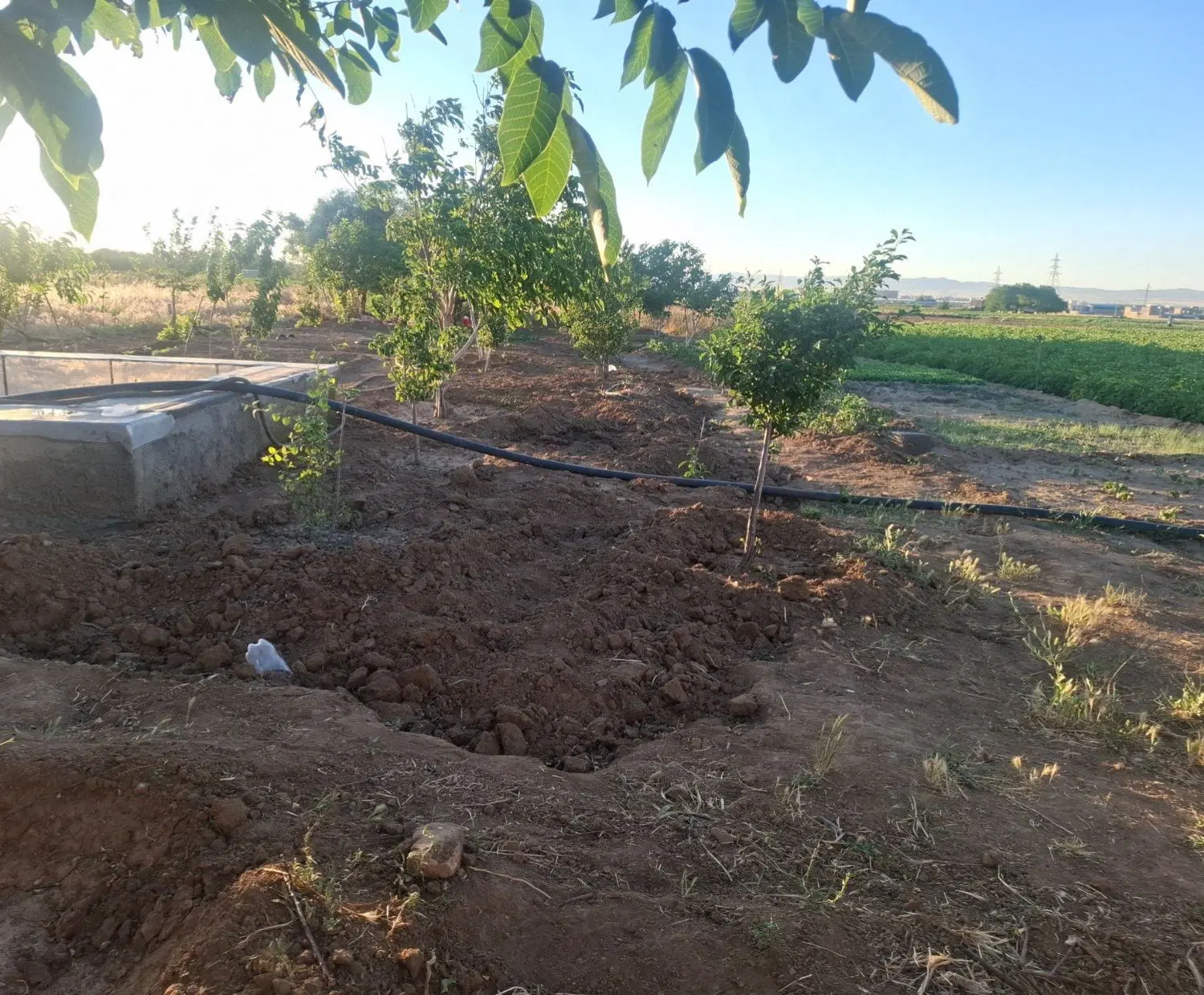 باغ در مهتیاباد