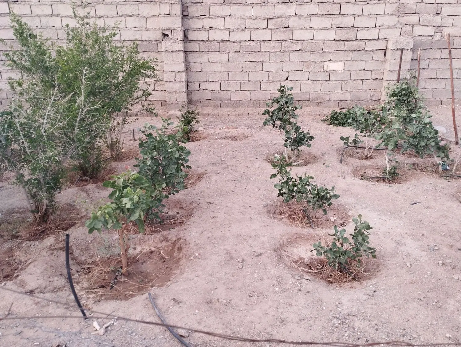 زمین روستای گراغه480متر