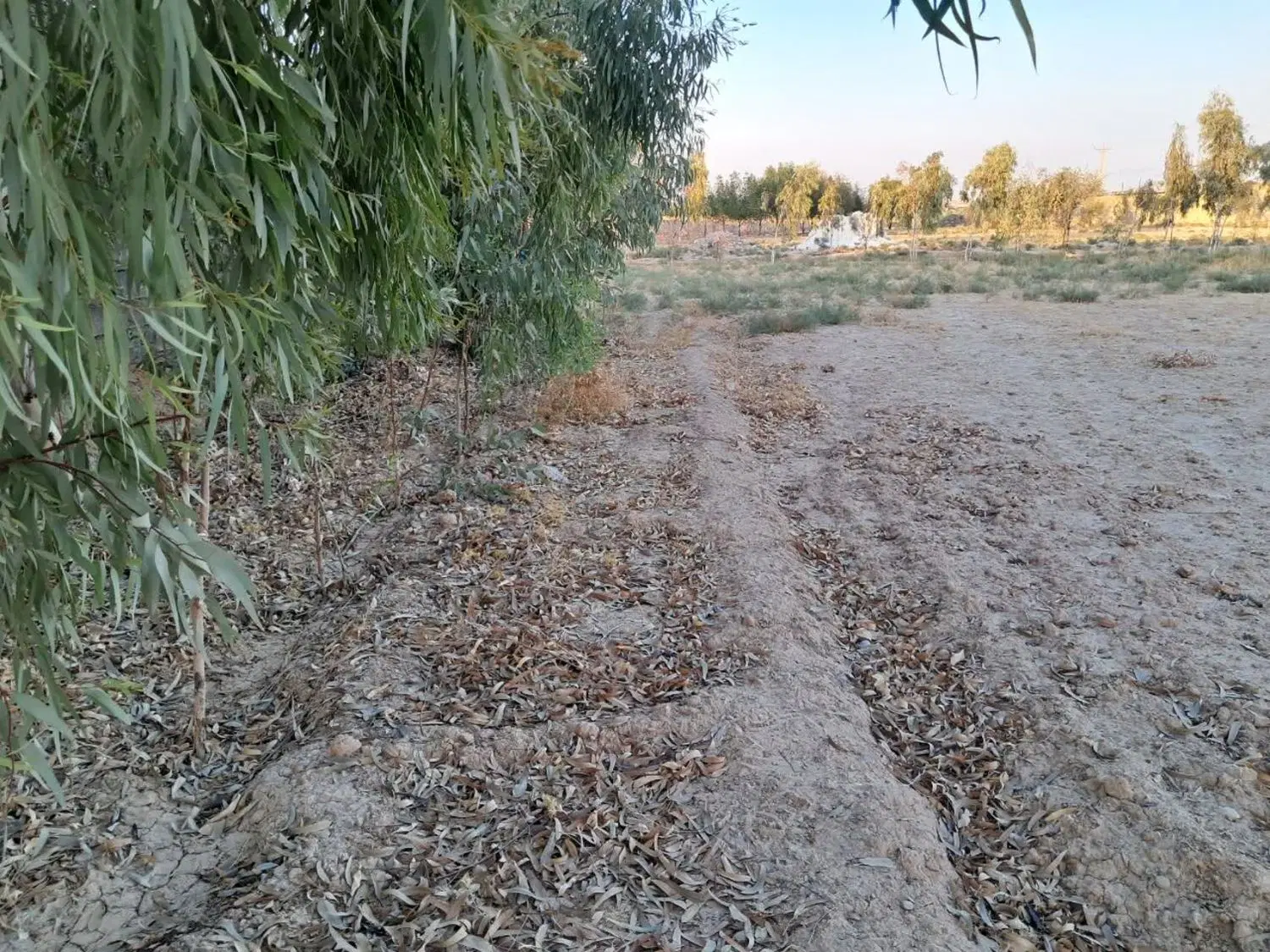 یک قطعه زمین ۵ هزار متری در همراه با منزل مسکونی