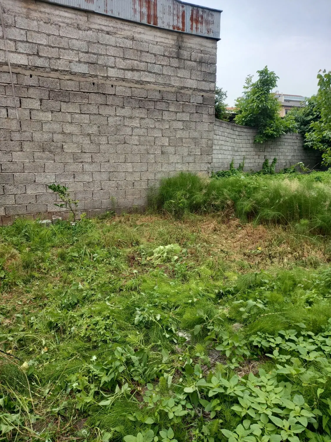 زمین سنددار دور دیوار خیابان ملت
