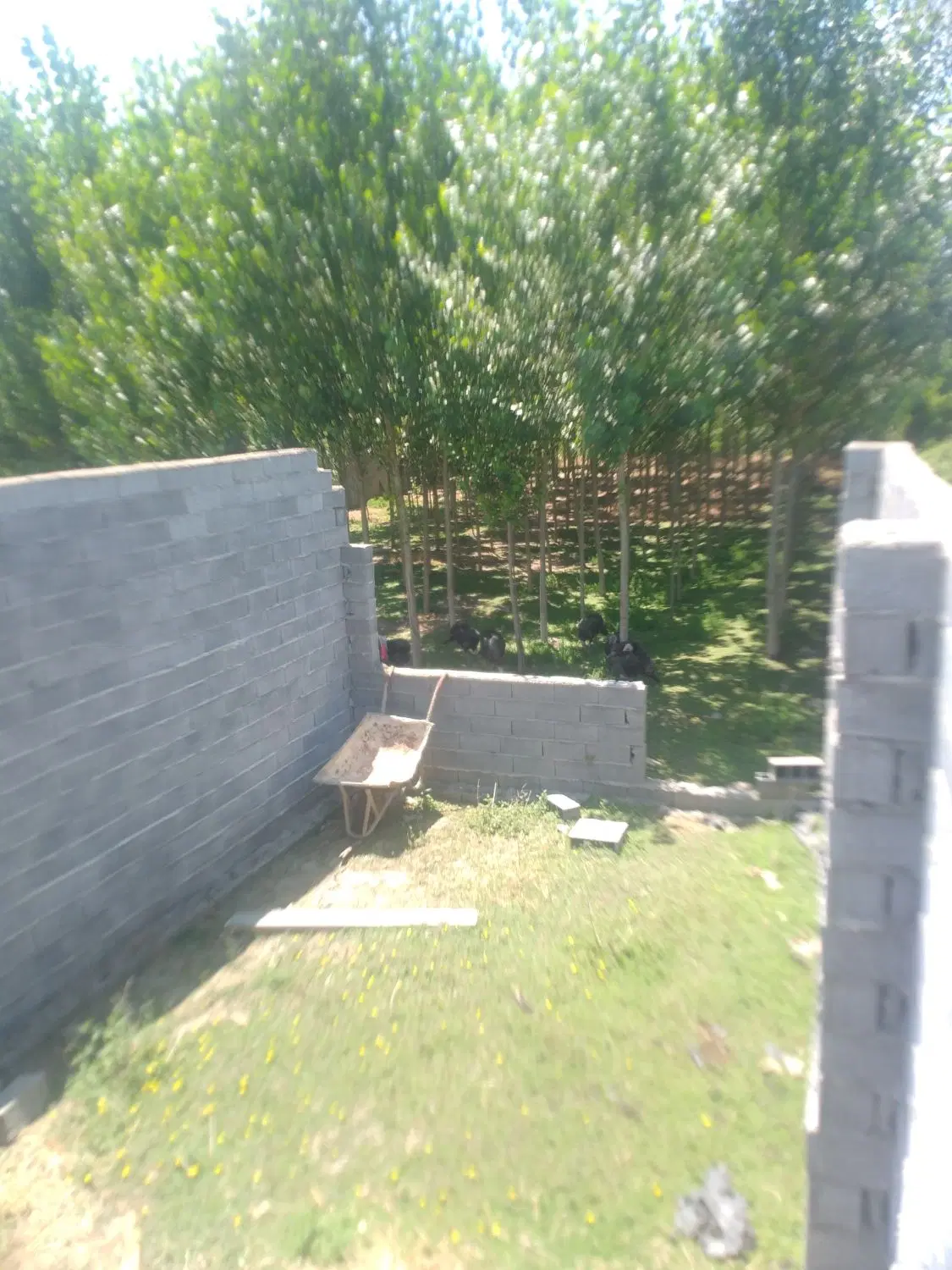 زمین مسکونی