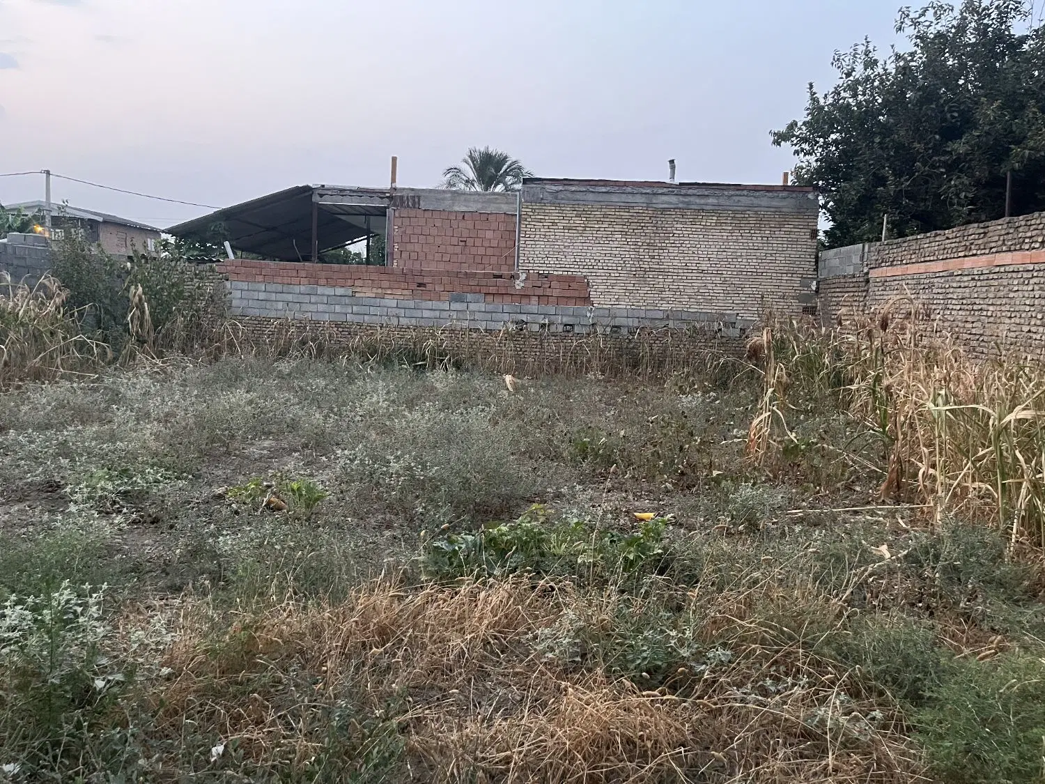 300 متر زمین مسکونی،باغی روستا الوکلاته