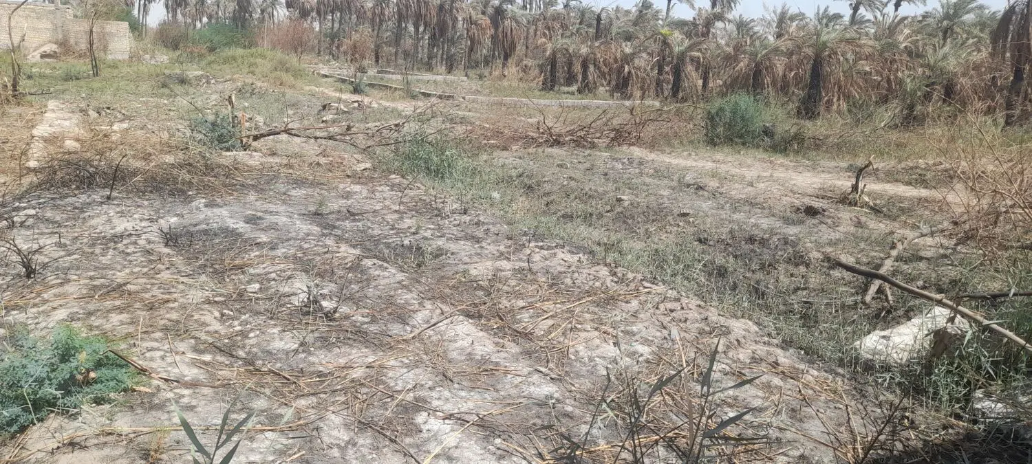 زمین ۱۰۰متر