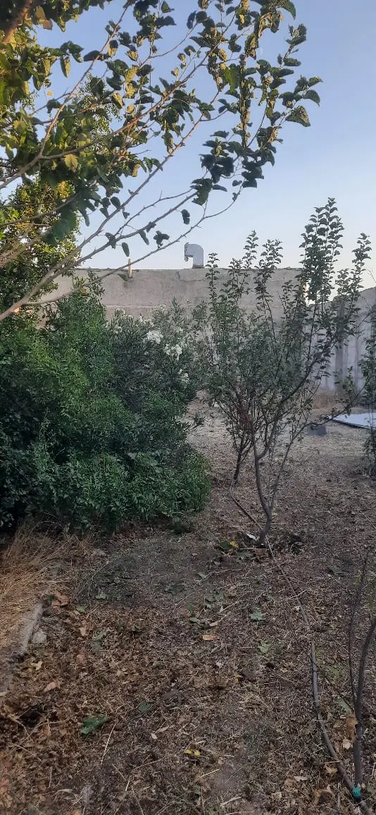 زمین۳۰۰متری داخل بافت سهیلیه اقبالیه