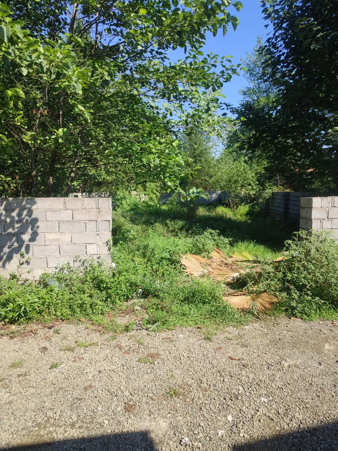۳۰۰متر سند دار و پروانه دار