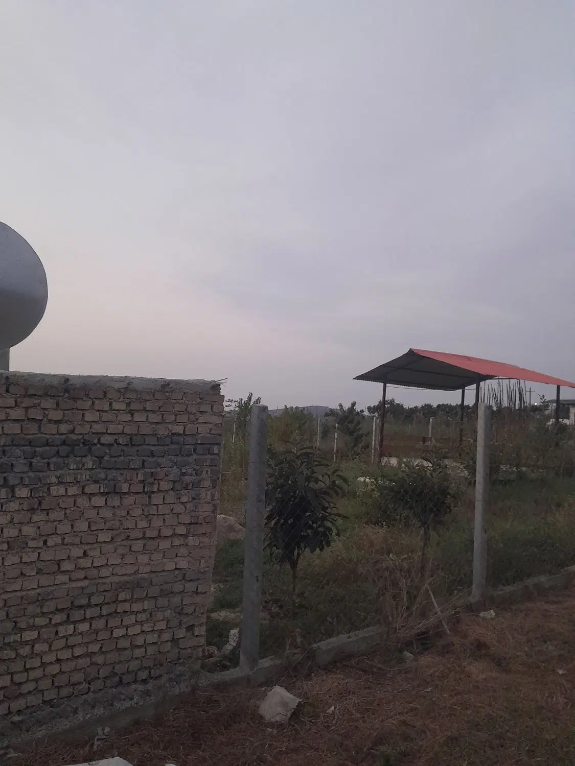 زمین باغی شموشک