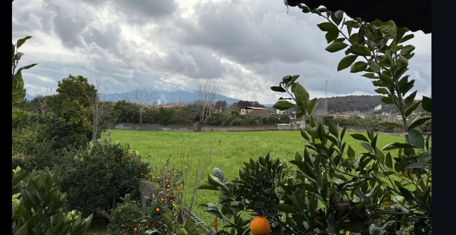 خریدار ملک شما
