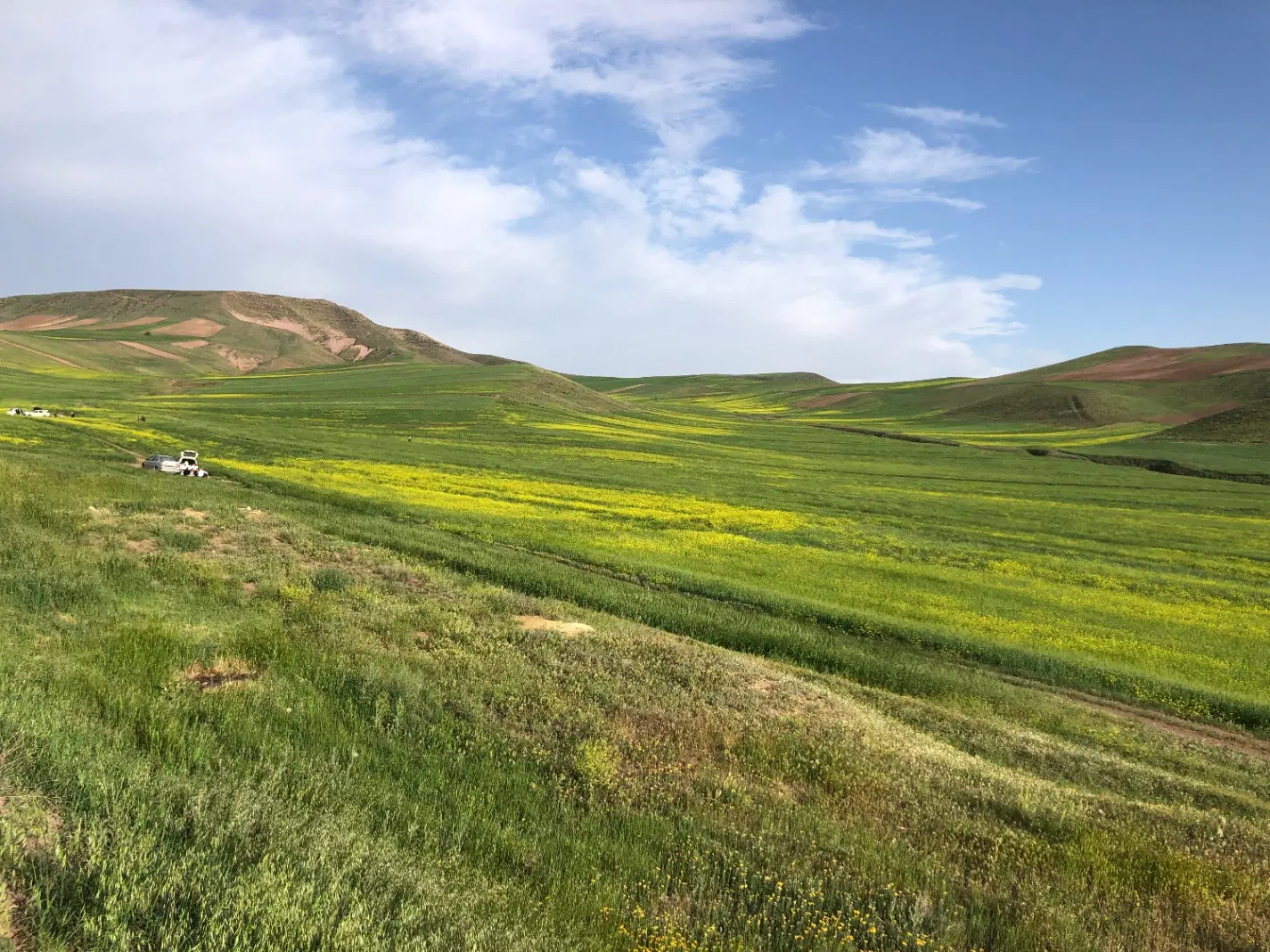 فروش زمین در لیگوش کجور