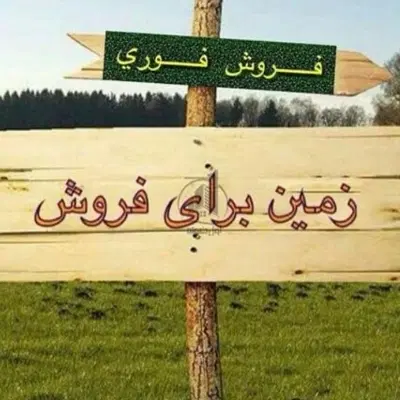 زمین